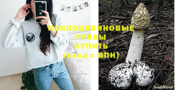 ПСИЛОЦИБИНОВЫЕ ГРИБЫ Алзамай