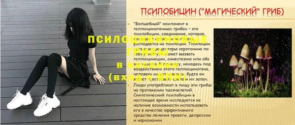 ПСИЛОЦИБИНОВЫЕ ГРИБЫ Алзамай