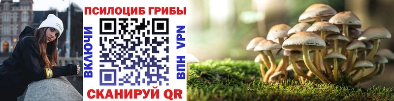 блэк спрут ссылка  Красногорск  Галлюциногенные грибы GOLDEN TEACHER 