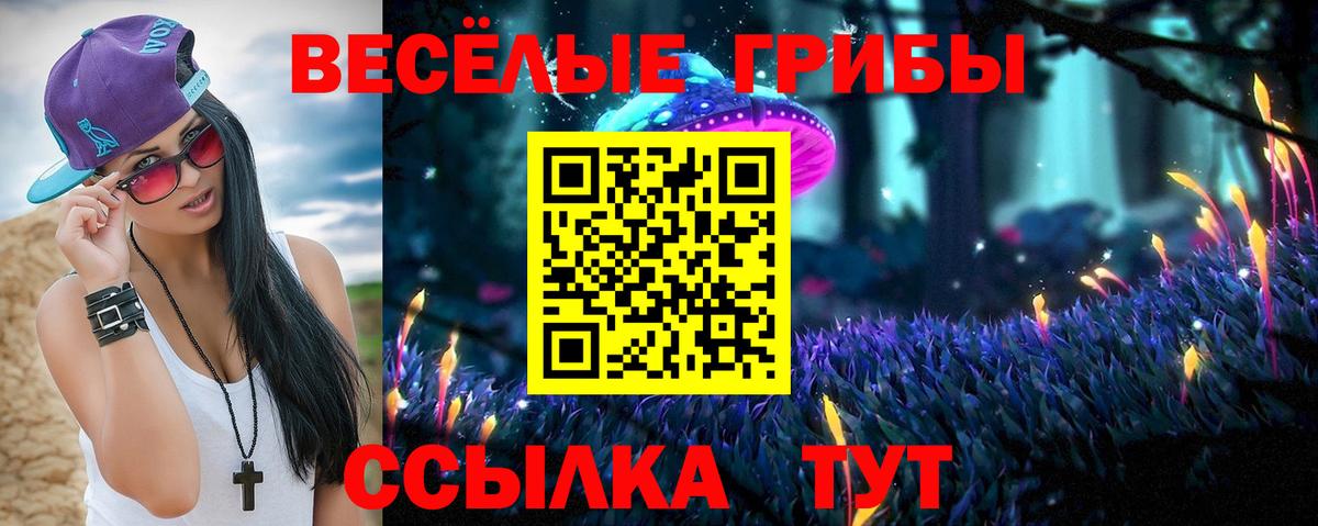 Псилоцибиновые грибы Psilocybe  Псилоцибиновые грибы мицелий  Красногорск  Вход с VPN 